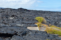 (빅아일랜드 힐로) 대자연의 감동- 자연그대로가 학습장 화산국립공원