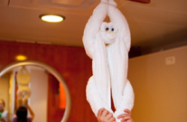 원숭이 타올, 캐딜락 다이너 저녁으로 하루를 마무리