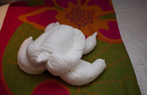 하와이 크루즈의 마지막 출항, 그리고 파티!