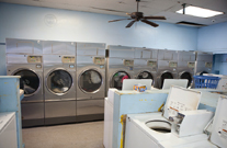 프라이드 오브 아메리카 NCL 크루즈 - 알아두면 좋은 알짜 팁!!