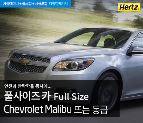 Full Size 쏘나타급