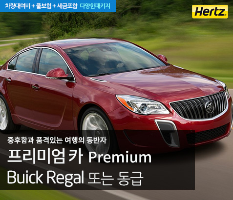 Premium Size 그랜저급