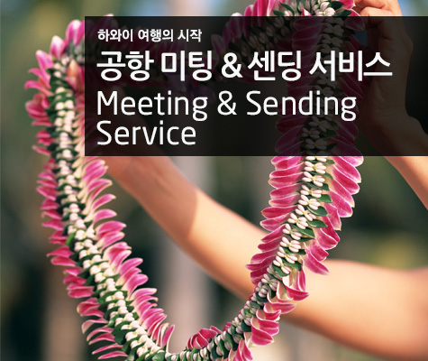 공항가이드 미팅&센딩