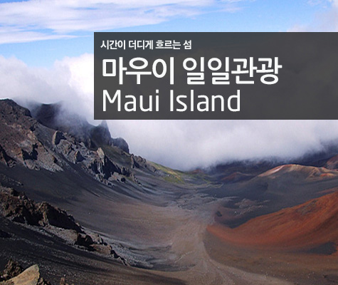 마우이섬 일일관광