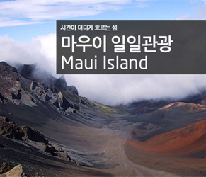 마우이섬 일일관광
