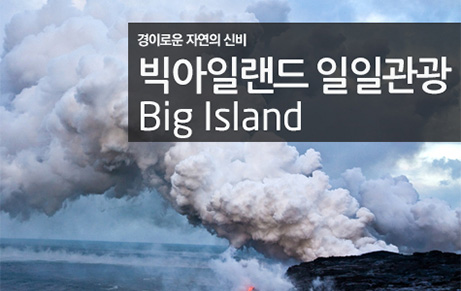 빅아일랜드섬 일일관광