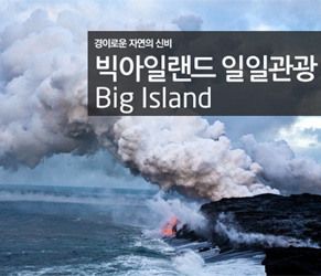 빅아일랜드섬 일일관광