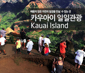 카우아이섬 일일관광