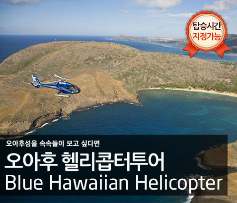 오아후섬 헬리콥터 투어