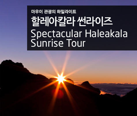할레아칼라 썬라이즈 일출투어