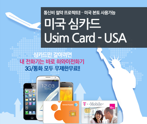 미국 심카드