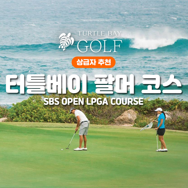 터틀베이 팔머 코스