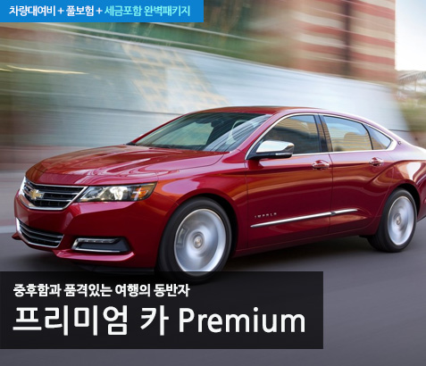 Premium Size 그랜저급
