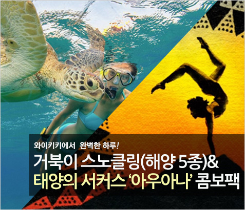 거북이 스노클링(해양스포츠5종) + 태양의 서커스 아우아나