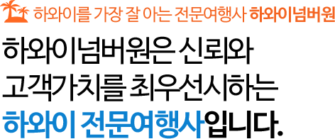 하와이 넘버원은 신뢰와 고객가치를 최우선시 하는 하와이 전문여행사입니다. 