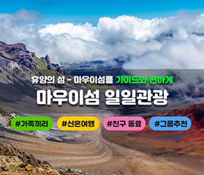 마우이섬 일일관광