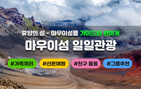 마우이섬 일일관광