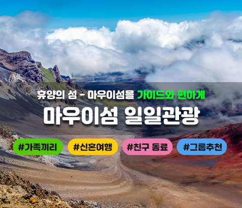 마우이섬 일일관광