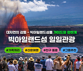 빅아일랜드섬 일일관광
