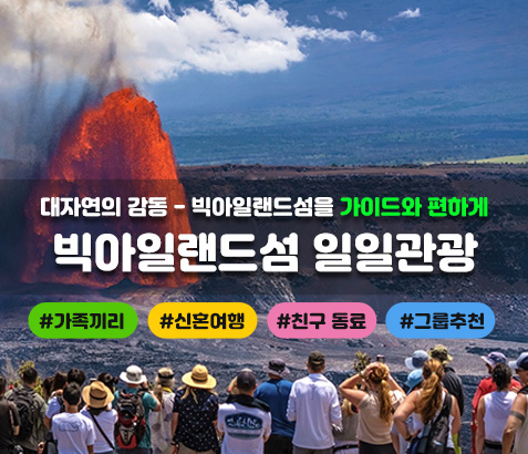 빅아일랜드섬 일일관광