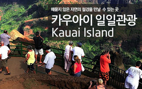 카우아이섬 일일관광