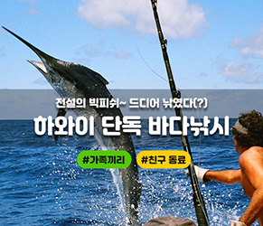 하와이 바다 낚시