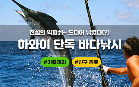 하와이 바다 낚시
