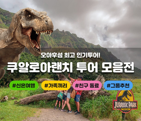 쿠알로아 랜치 체험