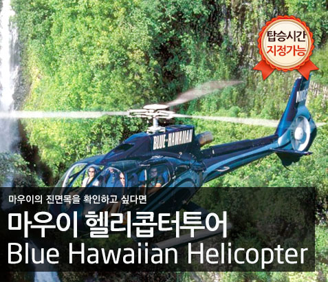 마우이 헬리콥터 투어