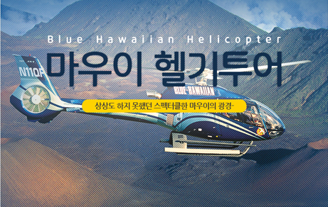 마우이 헬리콥터 투어