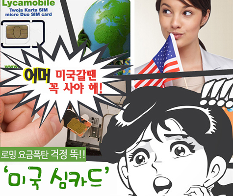 미국 심카드
