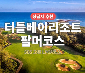 터틀베이 팔머 코스