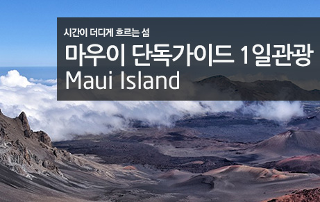 마우이섬 단독가이드 1일관광