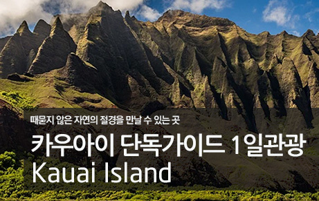 카우아이섬 단독가이드 1일관광
