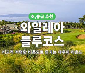 와일레아 블루 코스