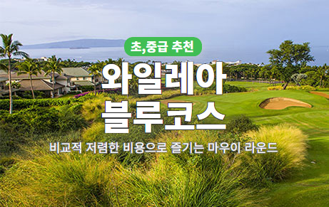 와일레아 블루 코스