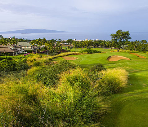 와일레아 블루 코스