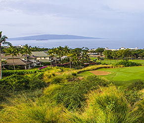 와일레아 블루 코스