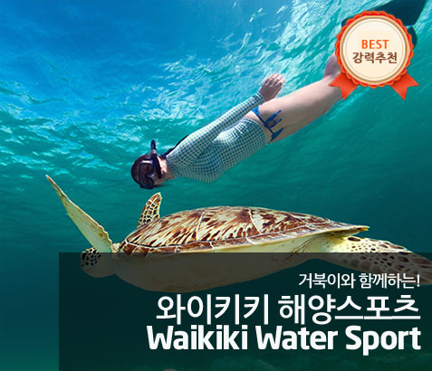 거북이 스노클링 (해양스포츠 5종 포함)