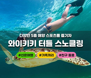 거북이 스노클링 (해양스포츠 5종 포함)