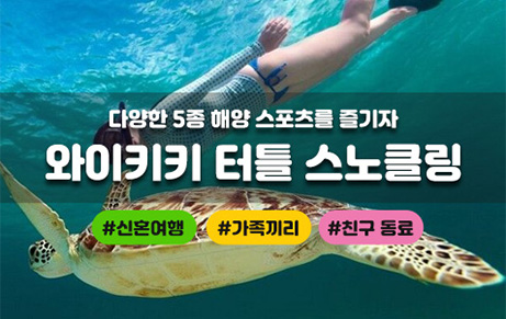 거북이 스노클링 (해양스포츠 5종 포함)