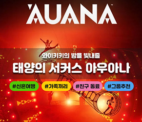 태양의 서커스